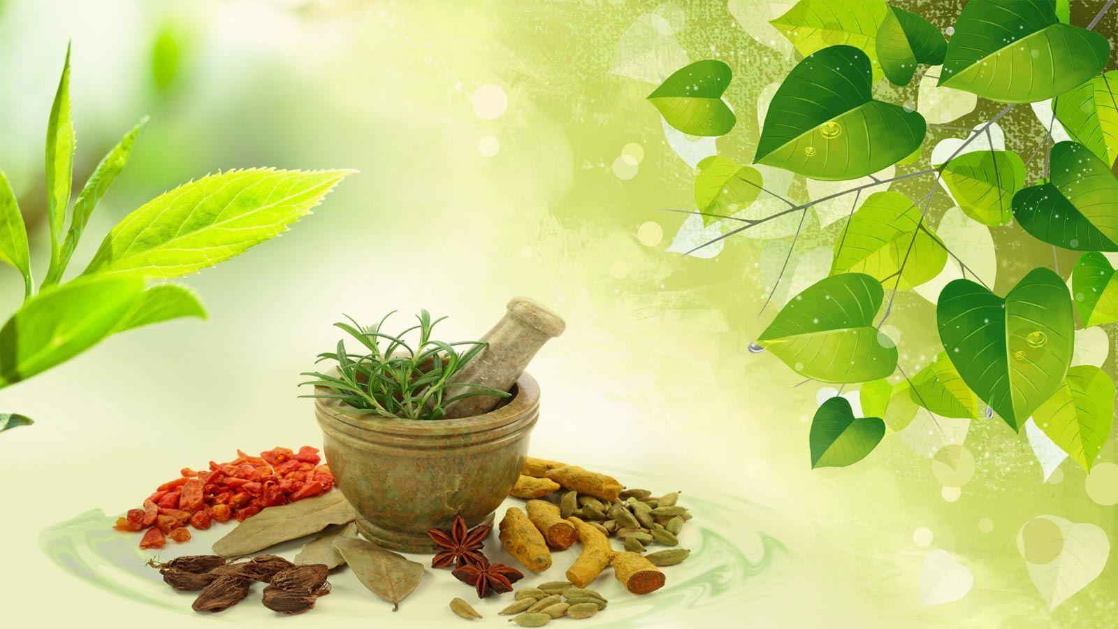 Sachkhand Ayurveda quality-focused Ayurvedic manufacturing