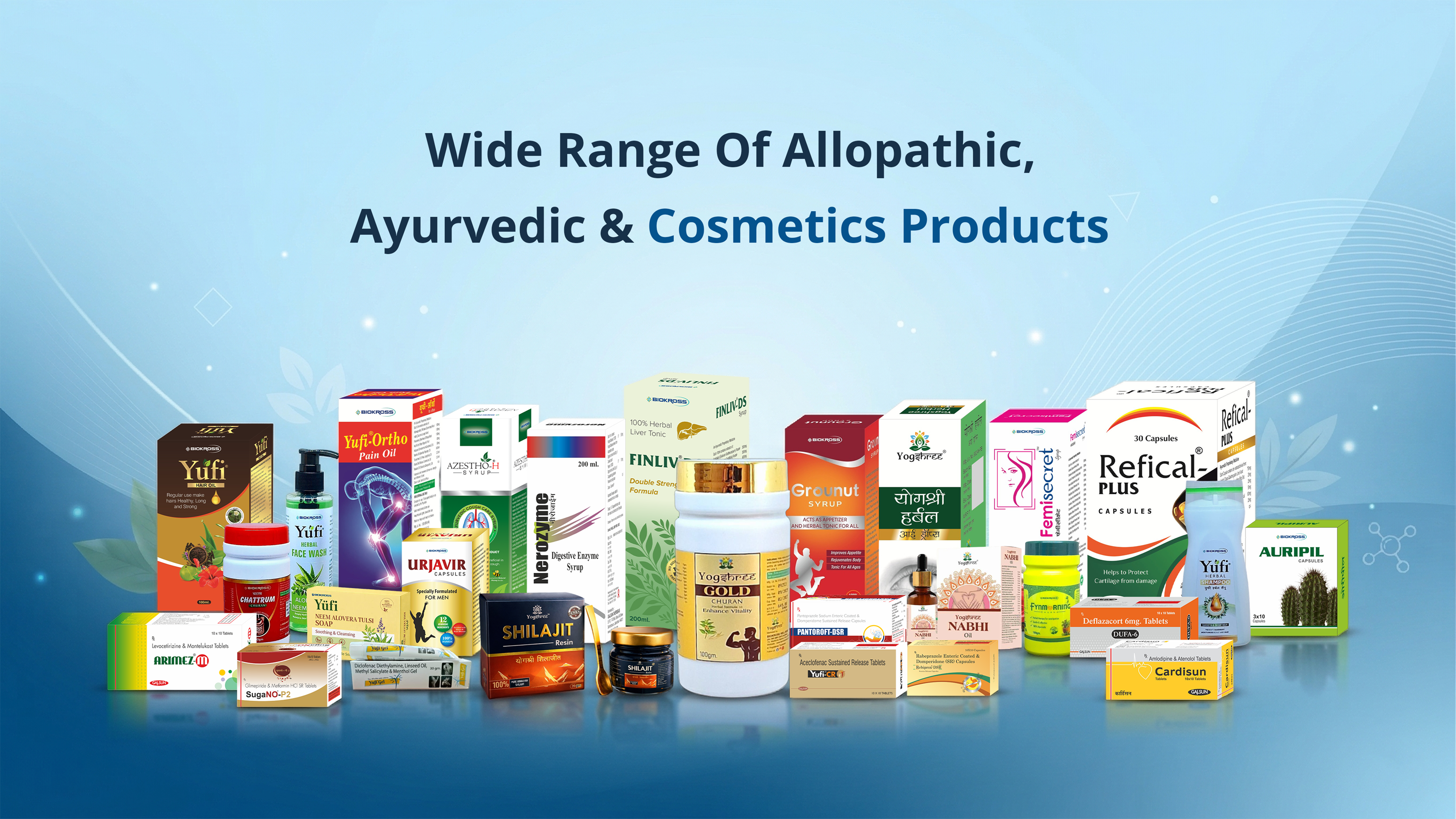 Sachkhand Ayurveda product portfolio